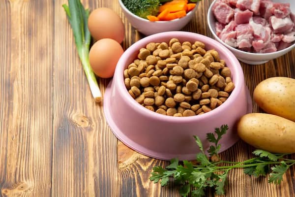 تصویر 1 از خرید و فروش خوراک توله سگ نژاد بزرگ با شرایط فوق العاده